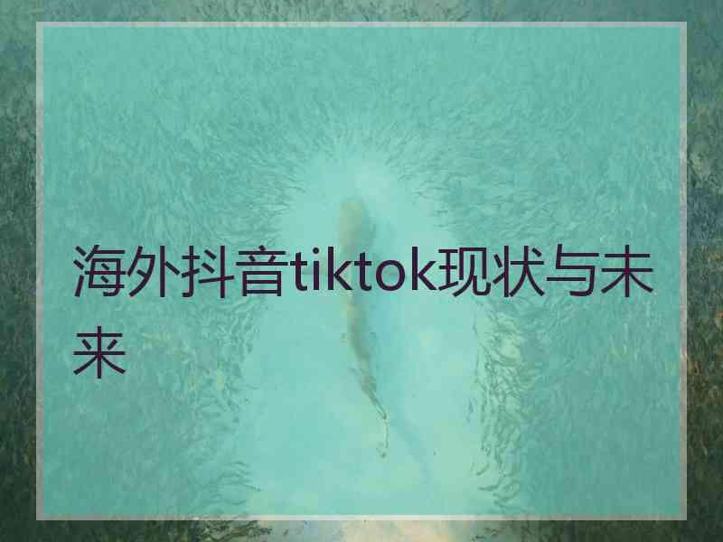 海外抖音tiktok现状与未来