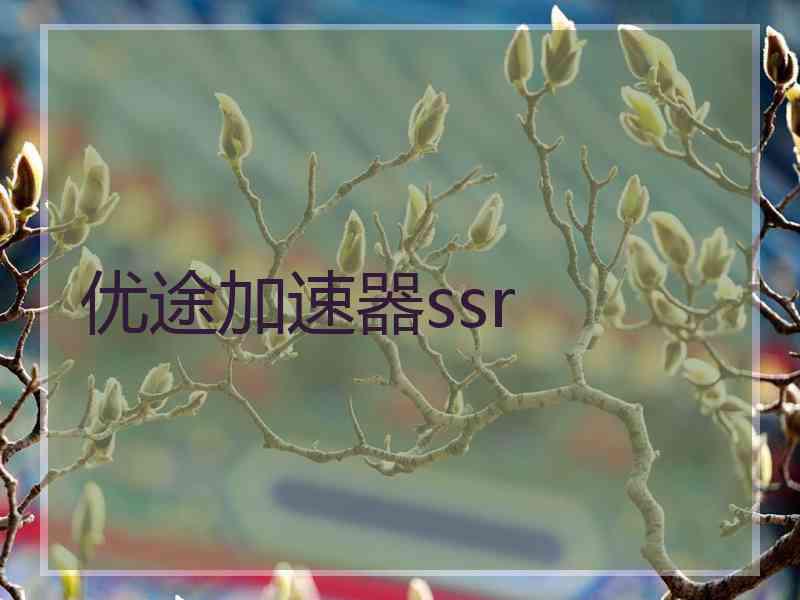 优途加速器ssr