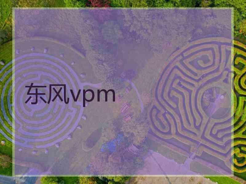 东风vpm