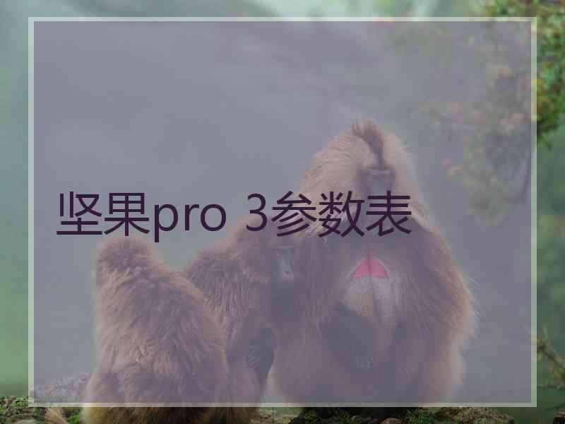 坚果pro 3参数表