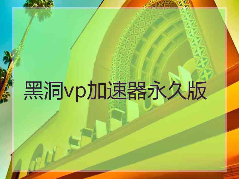 黑洞vp加速器永久版