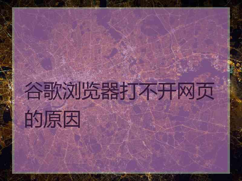 谷歌浏览器打不开网页的原因