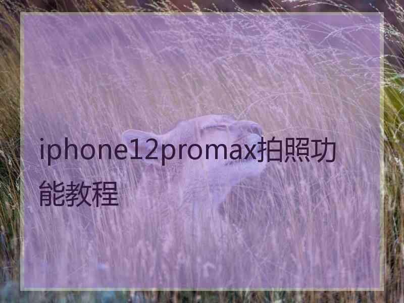 iphone12promax拍照功能教程