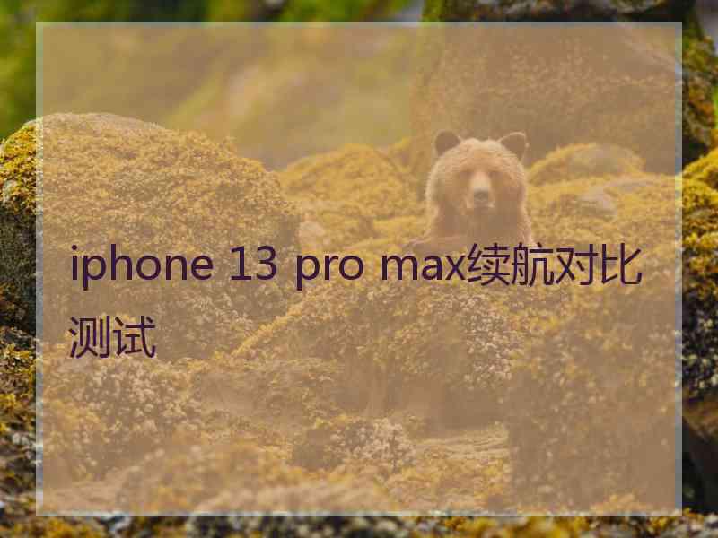 iphone 13 pro max续航对比测试