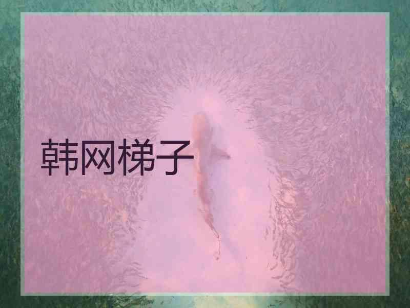 韩网梯子