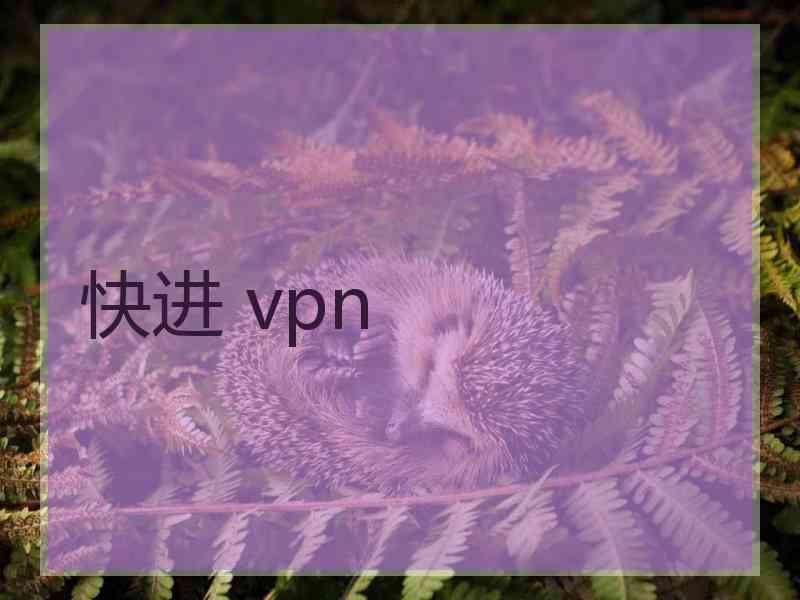 快进 vpn