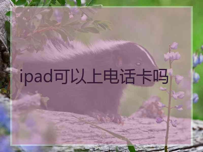 ipad可以上电话卡吗