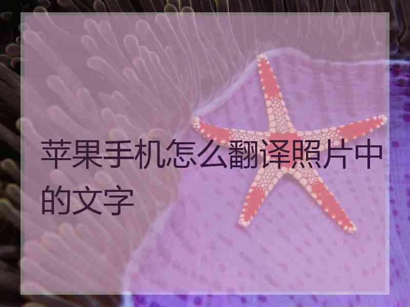 苹果手机怎么翻译照片中的文字