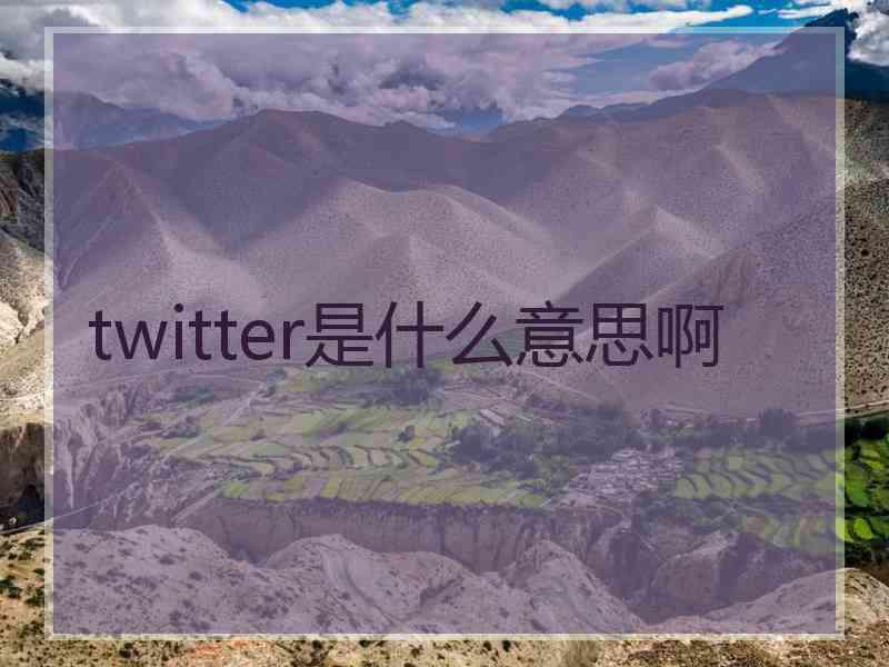 twitter是什么意思啊