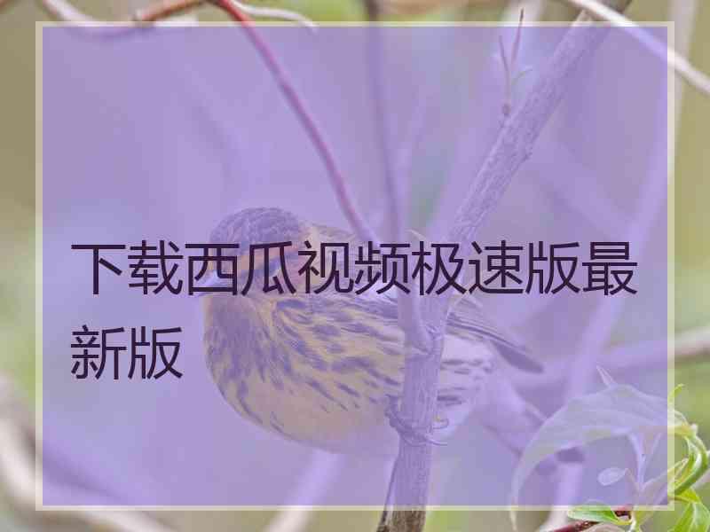 下载西瓜视频极速版最新版