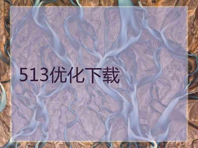 513优化下载