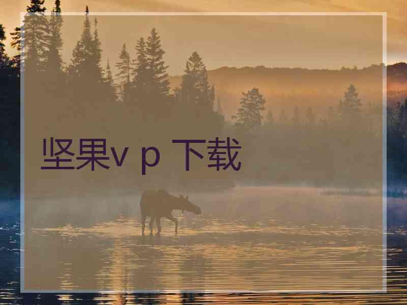 坚果v p 下载