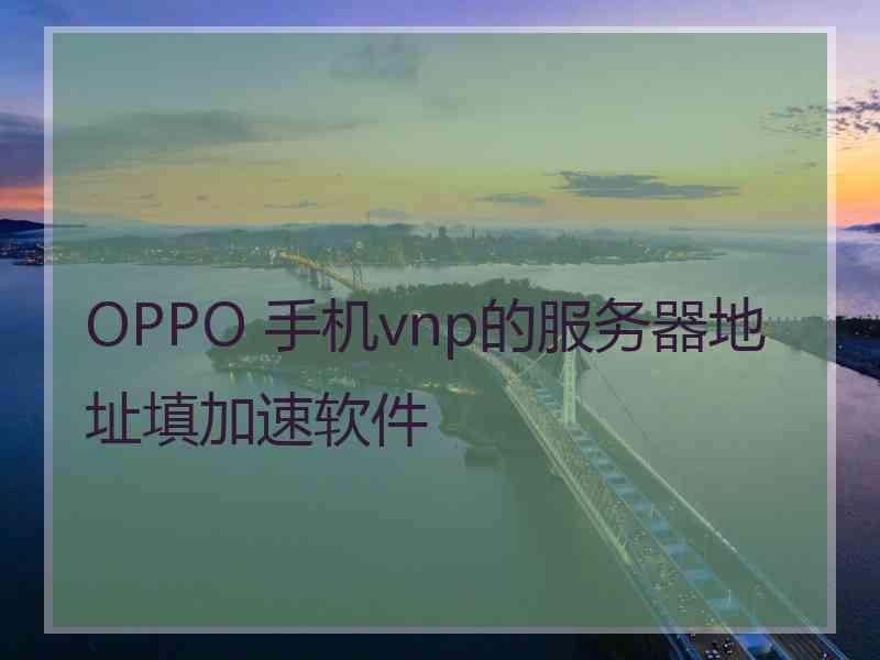 OPPO 手机vnp的服务器地址填加速软件