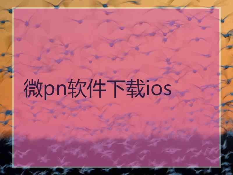 微pn软件下载ios