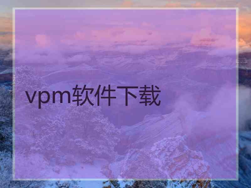 vpm软件下载