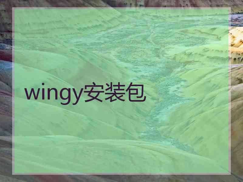 wingy安装包