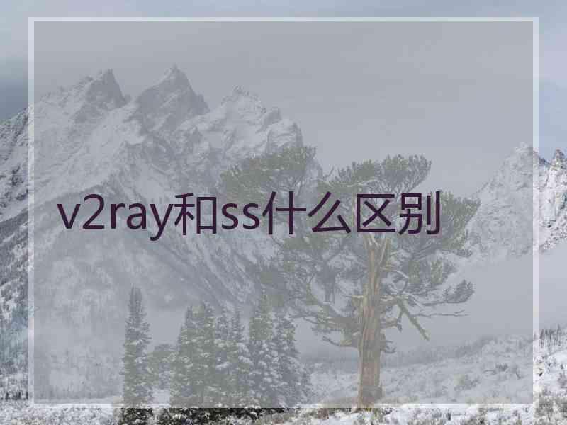 v2ray和ss什么区别