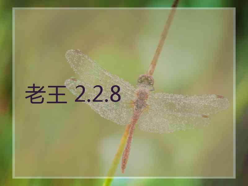 老王 2.2.8