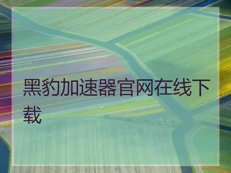 黑豹加速器官网在线下载