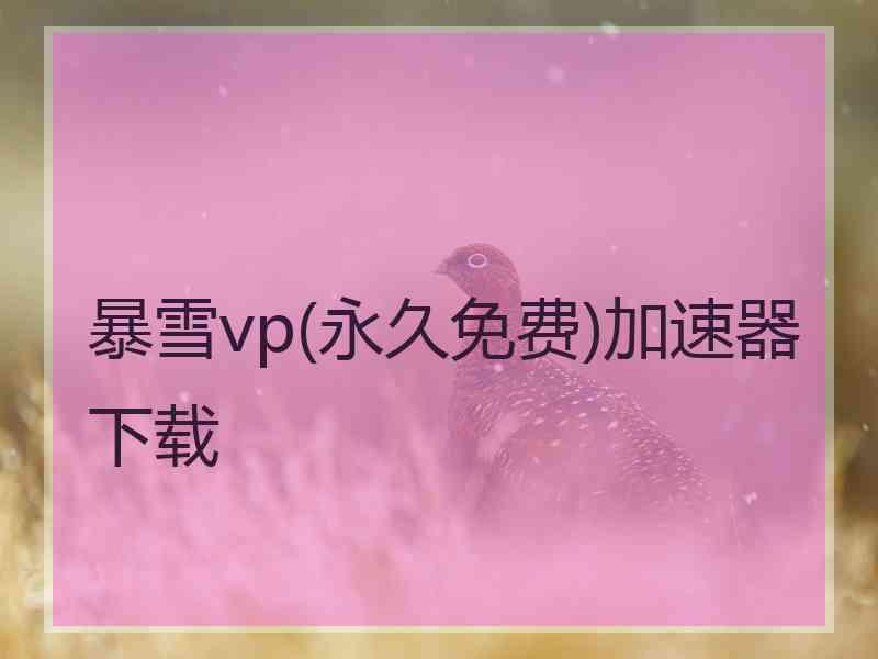 暴雪vp(永久免费)加速器下载