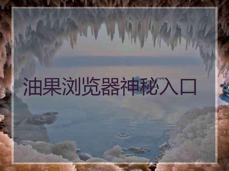 油果浏览器神秘入口