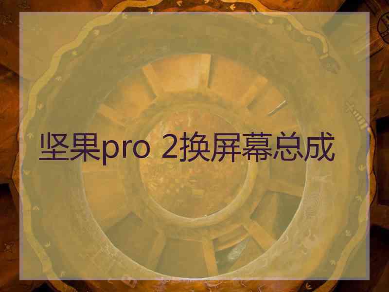 坚果pro 2换屏幕总成