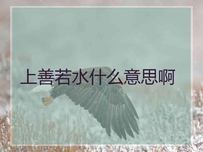 上善若水什么意思啊