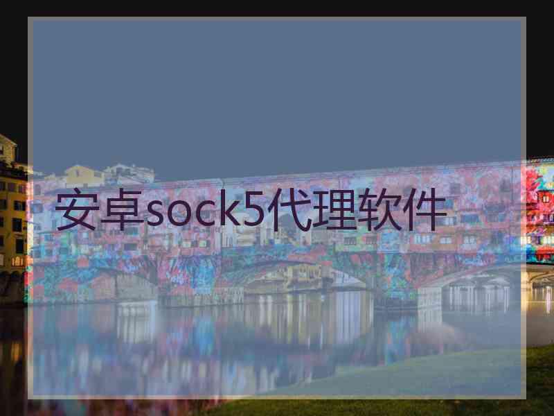 安卓sock5代理软件