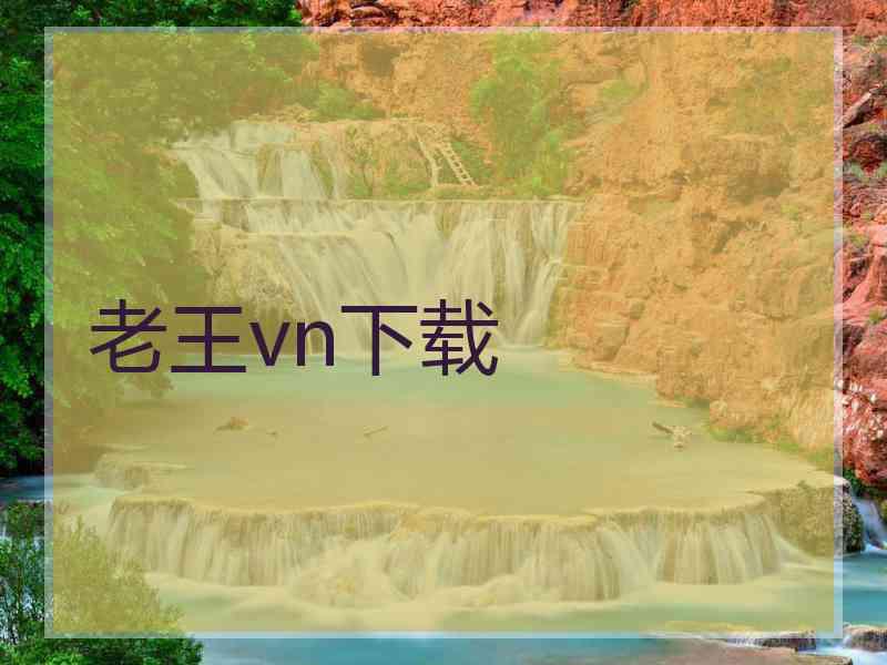 老王vn下载