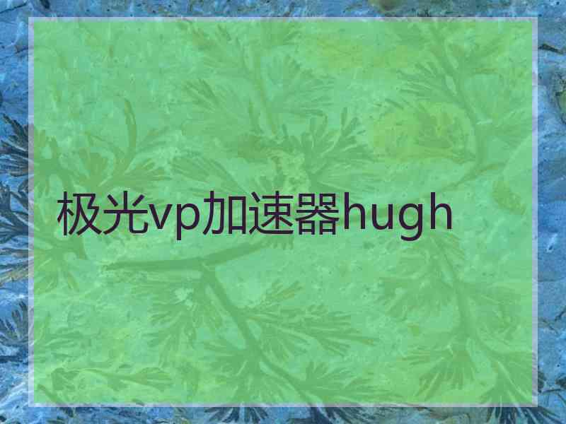 极光vp加速器hugh