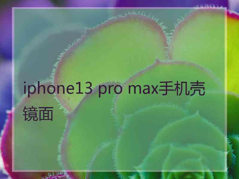 iphone13 pro max手机壳镜面