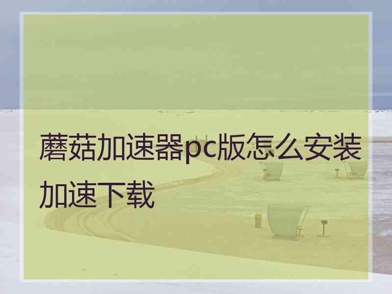 蘑菇加速器pc版怎么安装加速下载