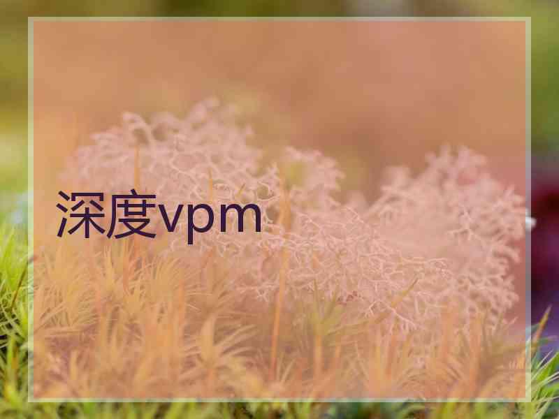 深度vpm