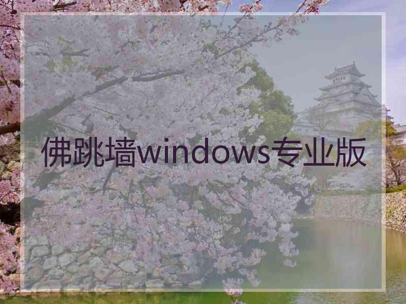 佛跳墙windows专业版