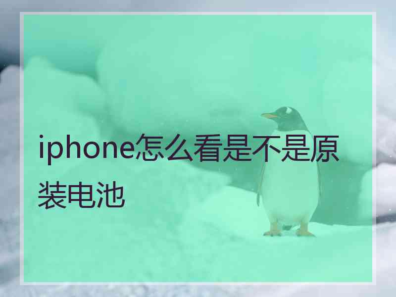 iphone怎么看是不是原装电池