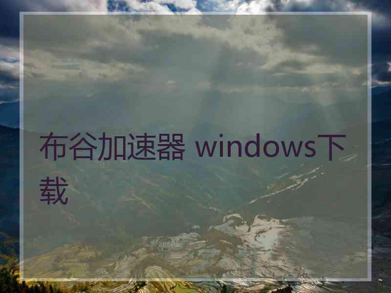 布谷加速器 windows下载