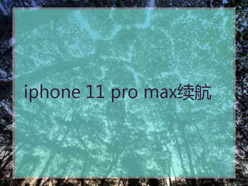 iphone 11 pro max续航