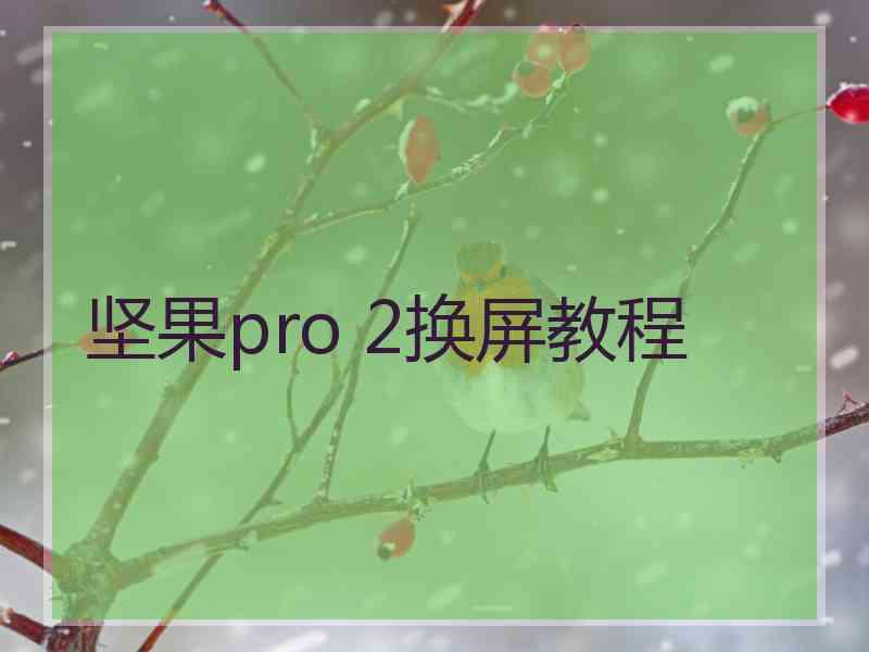 坚果pro 2换屏教程