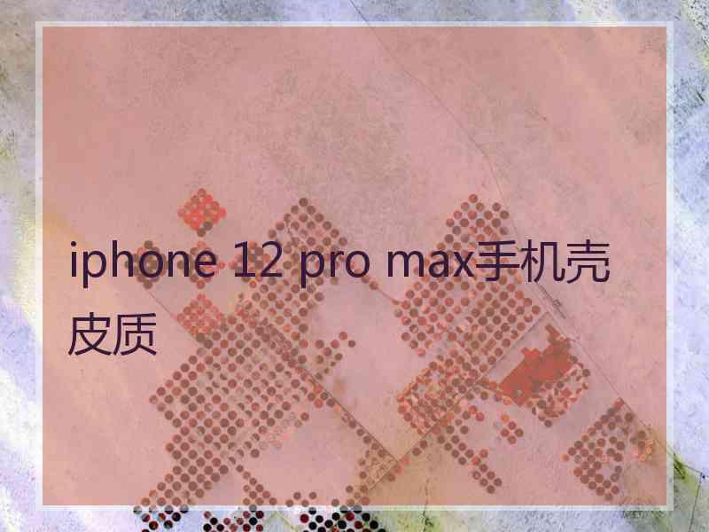 iphone 12 pro max手机壳皮质