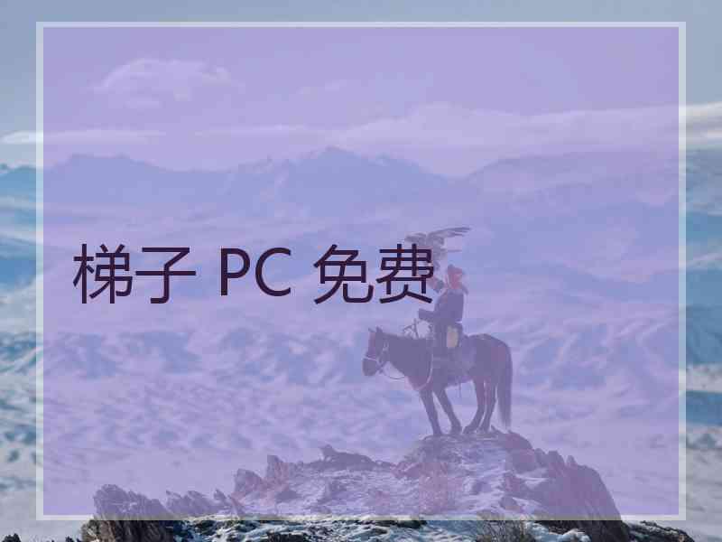 梯子 PC 免费