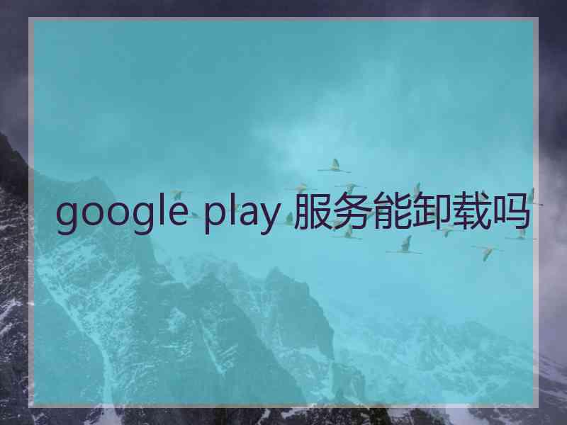 google play 服务能卸载吗