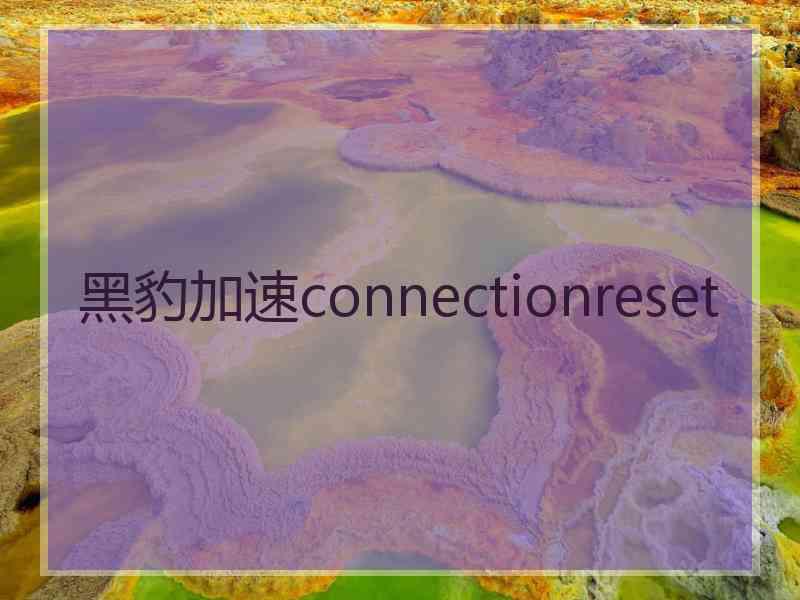 黑豹加速connectionreset