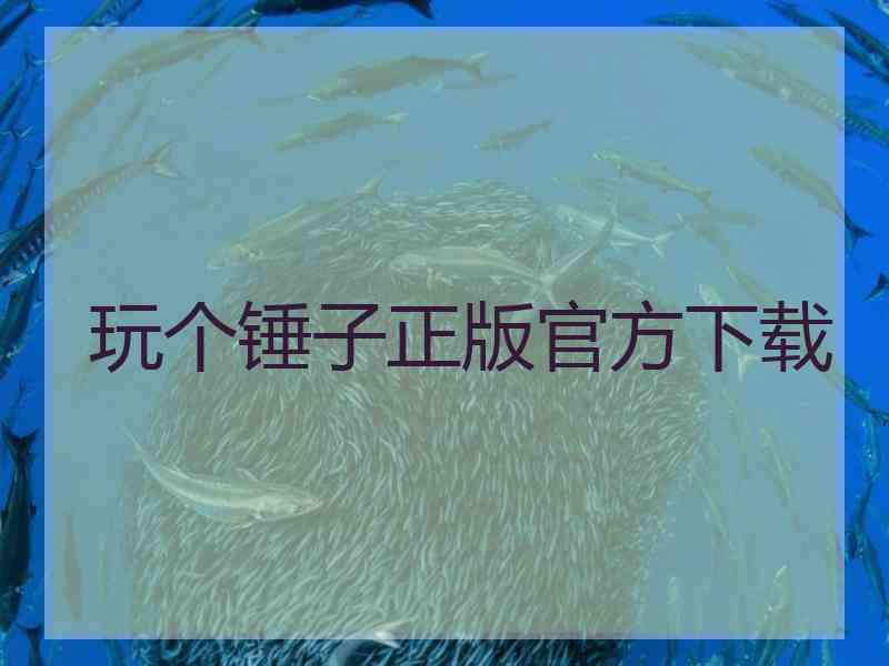 玩个锤子正版官方下载