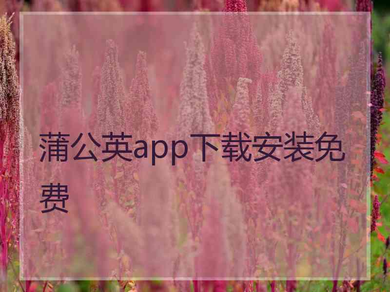 蒲公英app下载安装免费