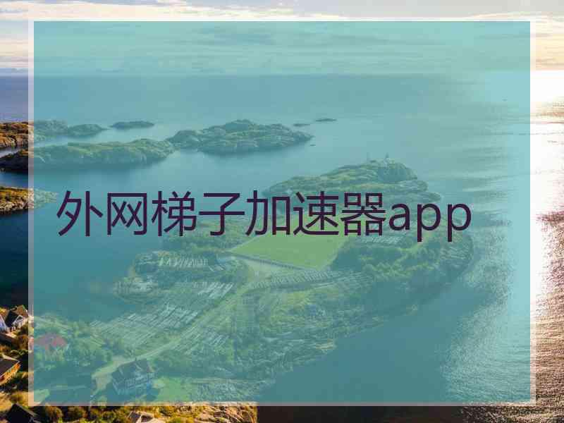 外网梯子加速器app