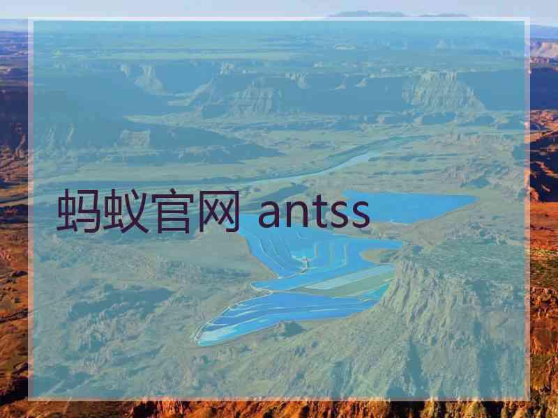 蚂蚁官网 antss