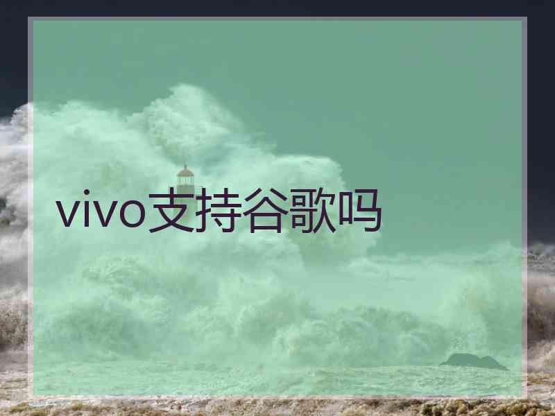 vivo支持谷歌吗