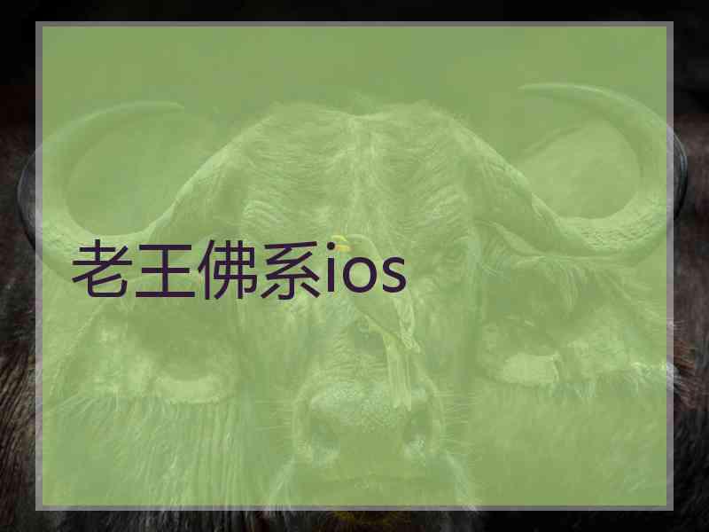 老王佛系ios