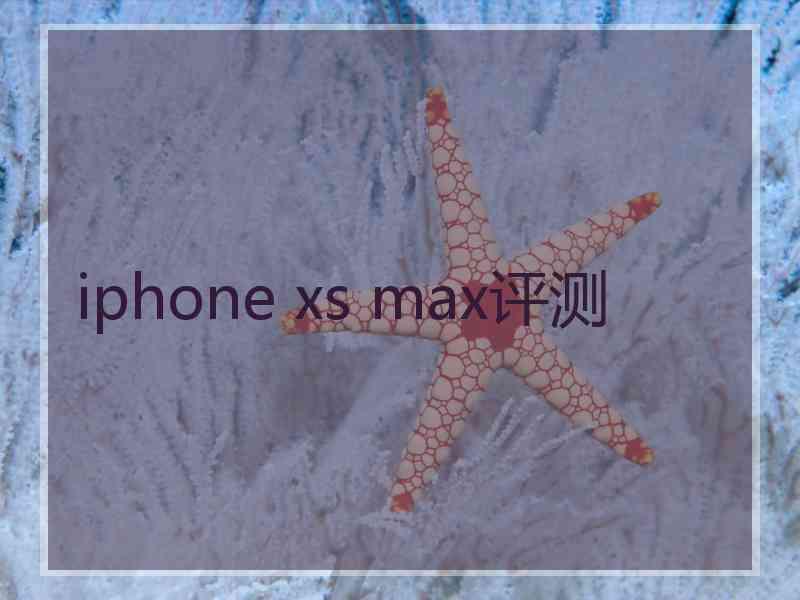 iphone xs max评测