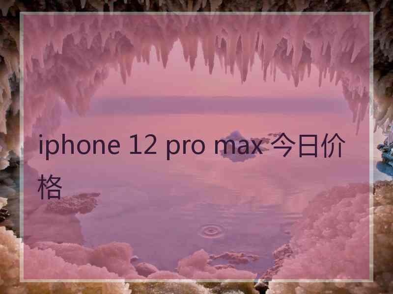 iphone 12 pro max 今日价格